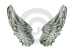 Silver wings isolated