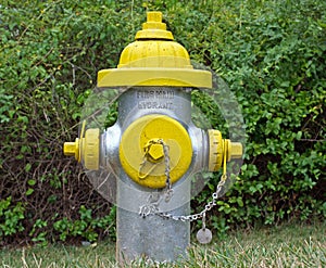 Silver and Yellow Fire Hydrant