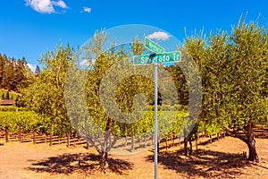 Silverado Trail Road Sign in Napa Valley California