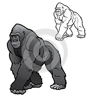 Silverback Gorilla Illustration