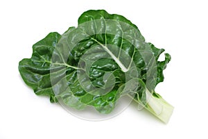 Silverbeet