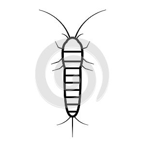 Silverfish vector icon
