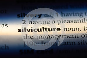 silviculture