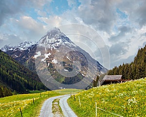 Silvretta Alps summer view, Austria