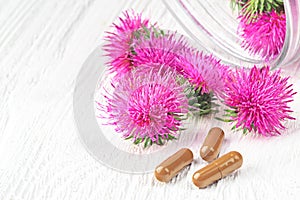 Silybum marianum milk thistle herb