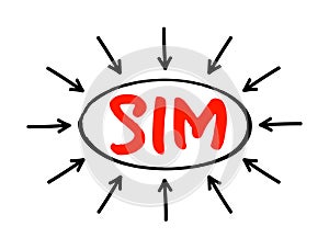 SIM Subscriber Identification Module - removable smart card for mobile cellular telephony devices, acronym text with arrows