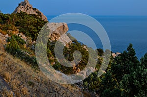 Simeiz coniferous green trees and bushes grow among large big stones, sharp rocks on shores of blue sea