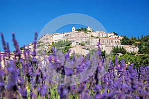 Simiane la Rotonde village with lavender field in Provence, France photo