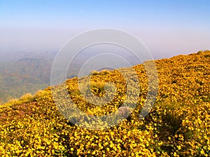 Simien National Park