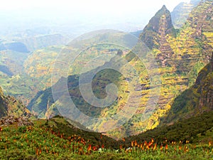 Simien National Park photo