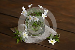 - simlpe rural still life with anemones in a glass.