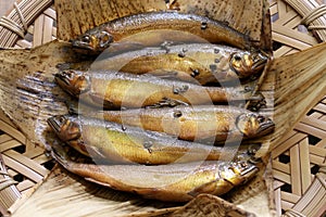 Simmered ayu ( sweetfish ) with japanese pepper, japanese fish dish