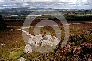 Simonside Hills Northumberland photo