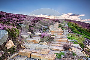 Simonside Hills path to the ridge photo