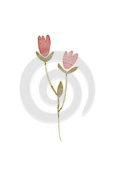 Simple abstract hand drawn red flower. Spring botanical flat watercolor illustration in pinks reds greens