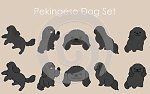 Simple and adorable black Pekingese Dog illustrations set