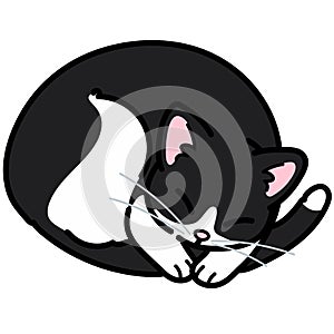 Simple and adorable black and white cat sleeping outlined