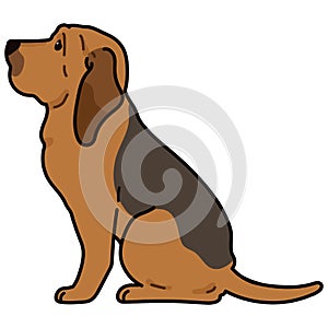 Simple and adorable Bloodhound dog illustration Sitting in side view