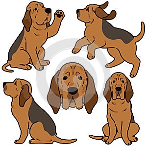 Simple and adorable Bloodhound dog illustrations