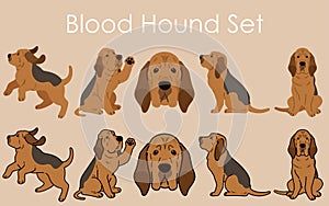 Simple and adorable Bloodhound dog illustrations set
