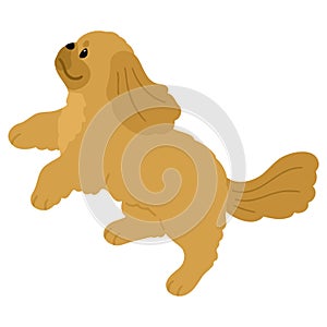 Simple and adorable illustration of Pekingese dog jumping flat colored