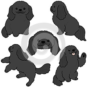 Simple and adorable illustration set of black Pekingese dog