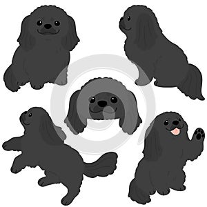 Simple and adorable illustration set of black Pekingese dog flat colored