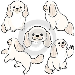 Simple and adorable illustration set of white Pekingese dog