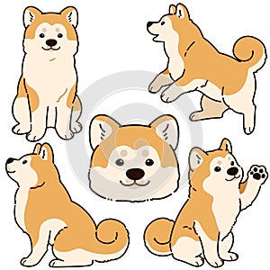 Simple and adorable outlined Akita Dog illustrations