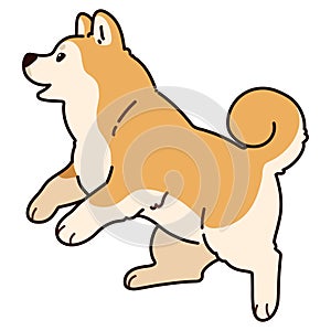 Simple and adorable outlined Akita Dog jumping and playing