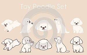 Simple and adorable white colored Toy Poodle illustrations set