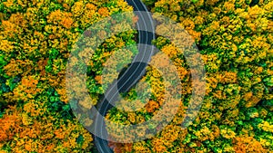 Simple aerial view of road in fall colored woods