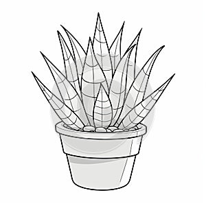 Simple Aloe Vera Coloring Page For Kids