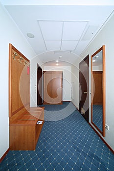 Simple antechamber with wooden closet, mirror