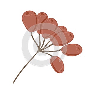 Simple Autumn twig with berries. Rowanberry or viburnum. Hand drawn element for autumn decorative design, halloween invitation,