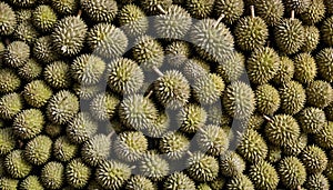 Durian texture Background. Artistic simple background