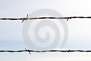 Simple Barbed Wire Abstract