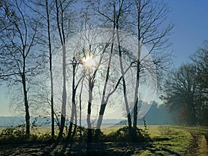 The simple beauty of a pasture on a wintermorning photo