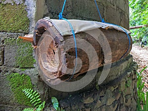 A simple bee hive made from bamboo trunk. Bamboo hive hanging on a blue string. Dark brick wall covered with tropical moss.
