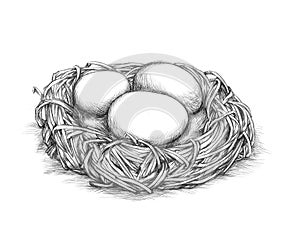 Simple bird nest with eggs