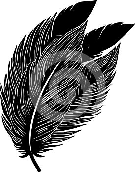 simple black outline drawing of three bird feathers, isolated