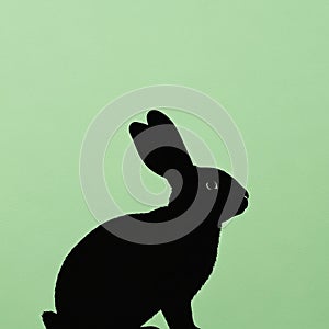 A simple black silhouette of a rabbit against a solid light green background