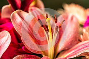 A Simple Bouquet of Flowers