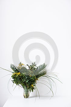 Simple bouquet with green leaves and mimosa flowers and empty white wall