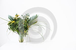 Simple bouquet with green leaves and mimosa flowers and empty white wall