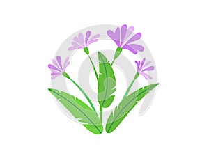 Simple bouquet vector with spring garden blooming flowers illustration. Fashion floral springtime nature plant elements