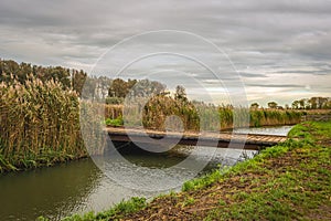 Simple bridge over the water in a nature reserve