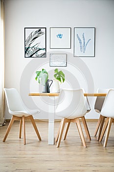 Simple bright dining room