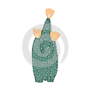 Simple cactus in doodle style. Cute prickly green cactus. Cacti flower isolated on white background