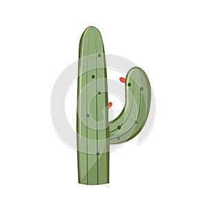 Simple cactus tree clipart, cacti plant vector illustration